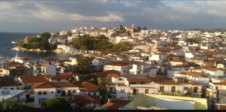 Vaso House Διαμέρισμα Σκιάθος Πόλη Εξωτερικό φωτογραφία